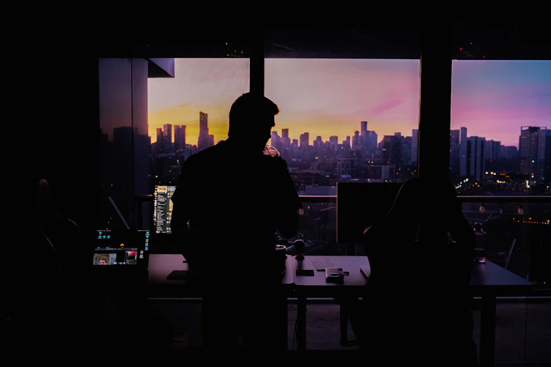 Professionals silhouetted against a city view